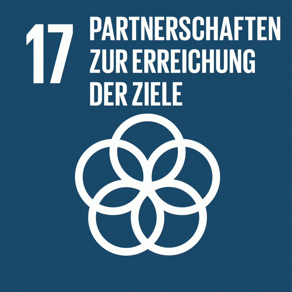 SDG17: Partnerschaften zur Erreichung der Ziele