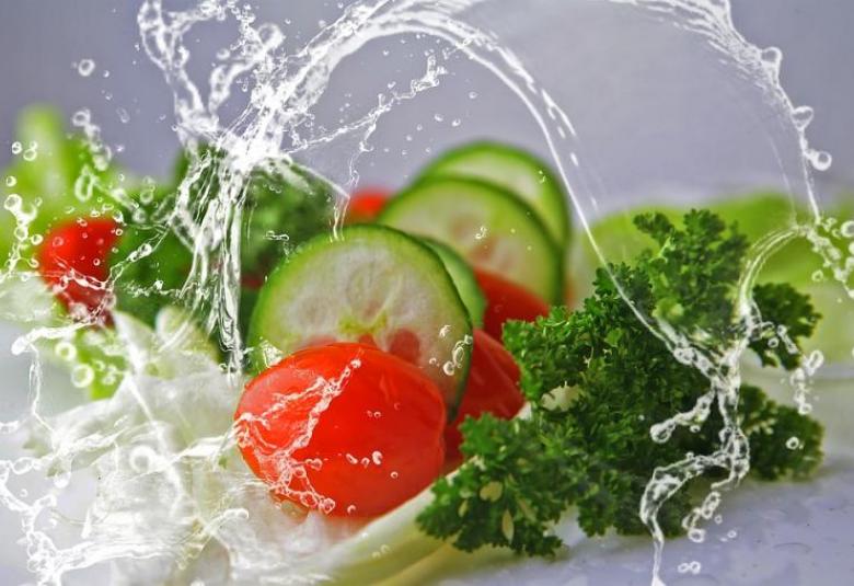 Life-Cycle Nutrition