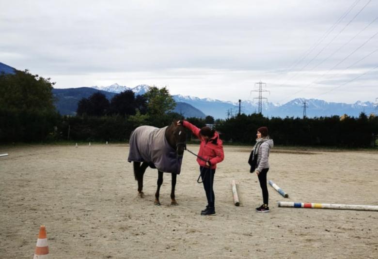 Pferdecoaching