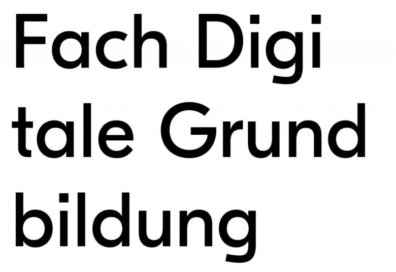 Fach Digitale Grundbildung