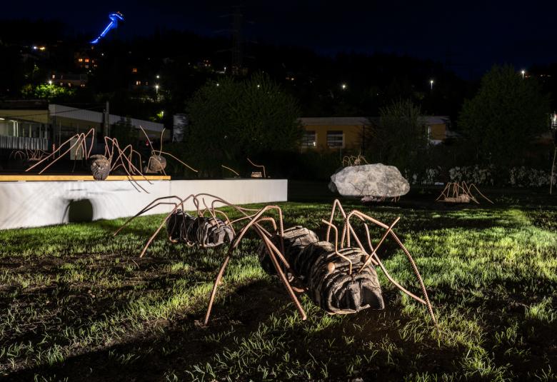 AMEISEN an der Pädagogischen Hochschule Tirol