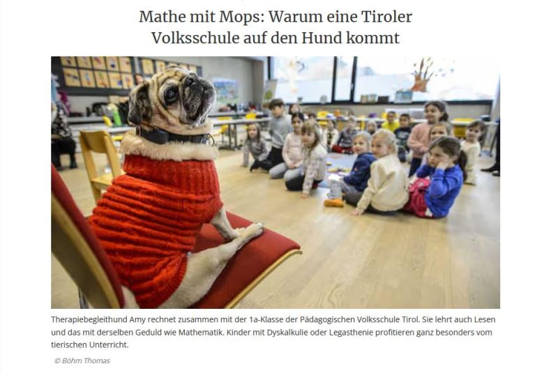 Über Therapiehunde im Einsatz an der Schule berichtet die Tiroler Tageszeitung.