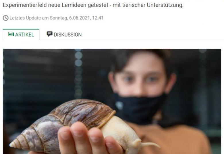 Lernen mit Riesenschnecken